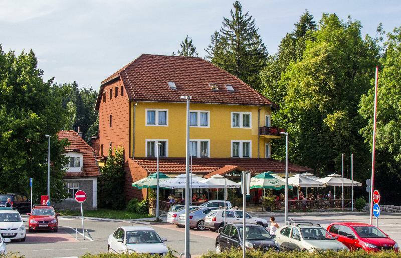 Hotel Risnjak Делнице Екстер'єр фото